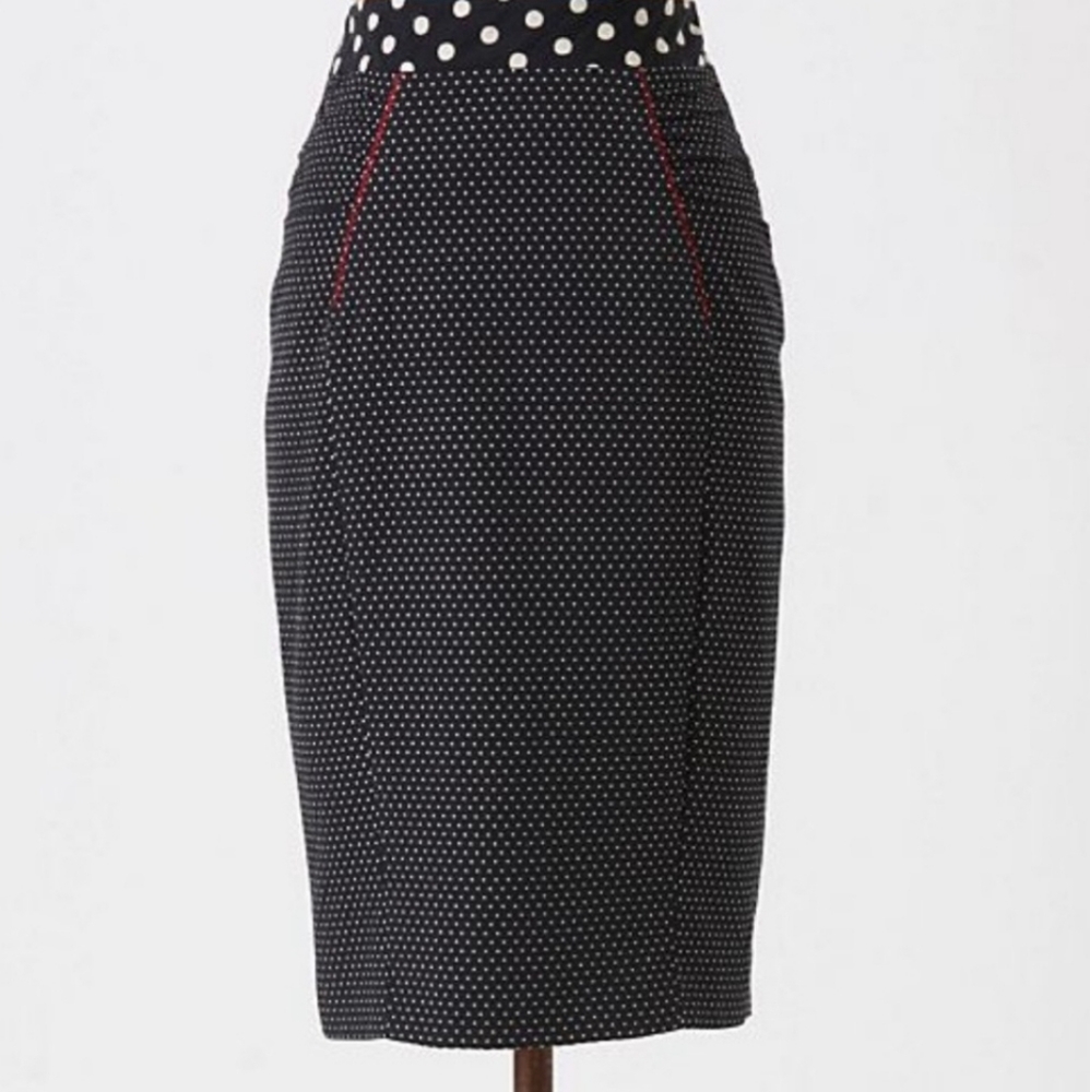 Anthropologie skirt